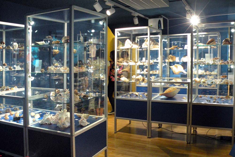 ČAROBNI SVET ŠKOLJK